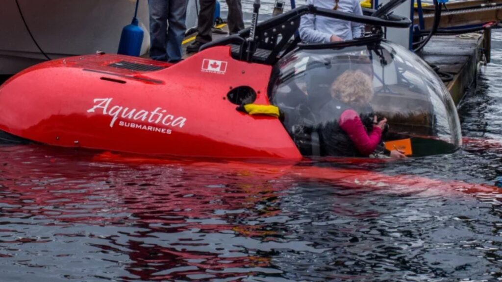 Aquatica Submarines Expedition In Belize