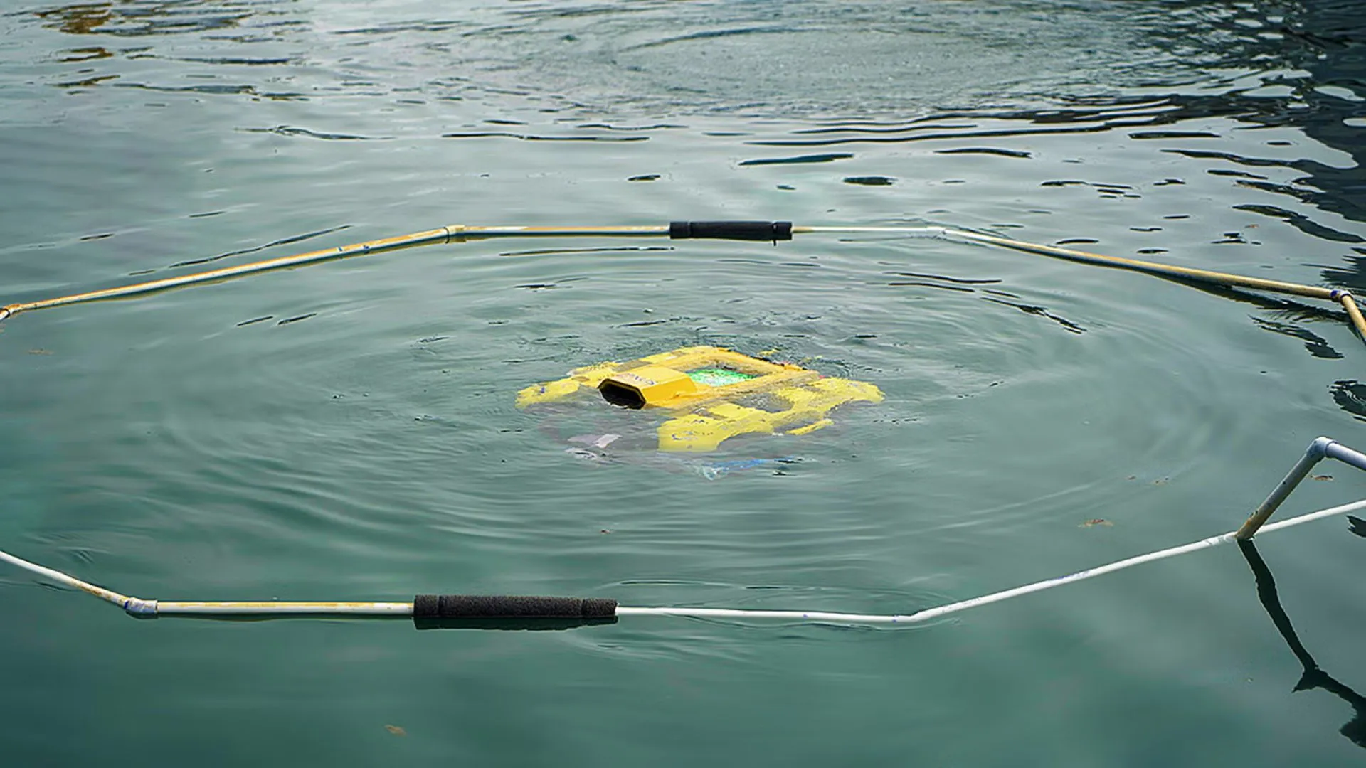 Team Bumblebee AUV Experience