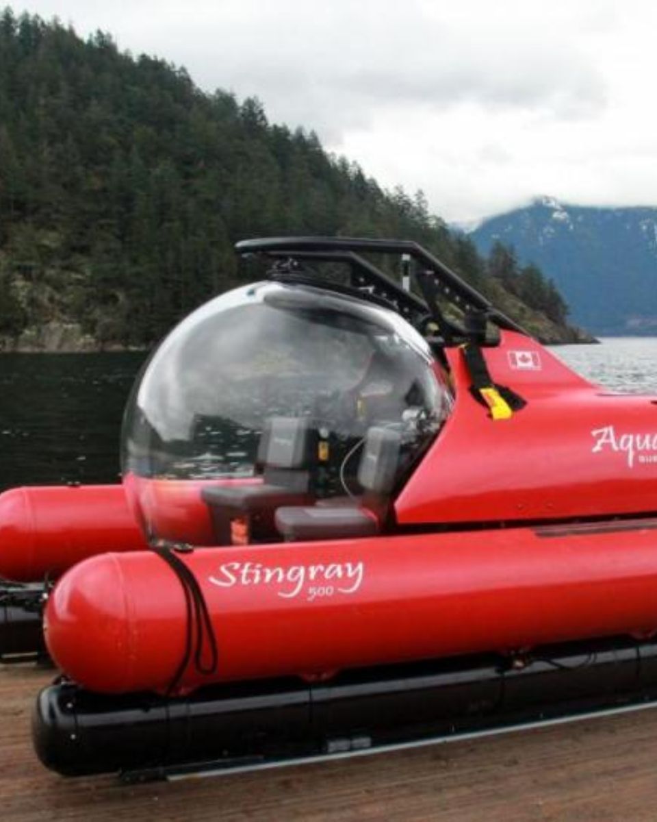 Stingray Submarine